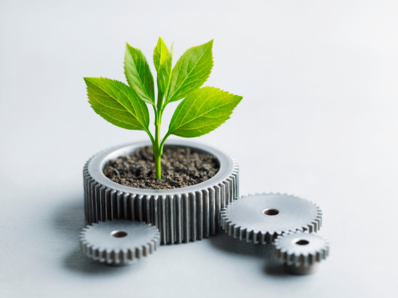 Generali-Group-Ecuador-Blog-Noticia-Compromiso-Sostenibilidad