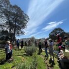 ¡Sembrando y cosechando un futuro sostenible!